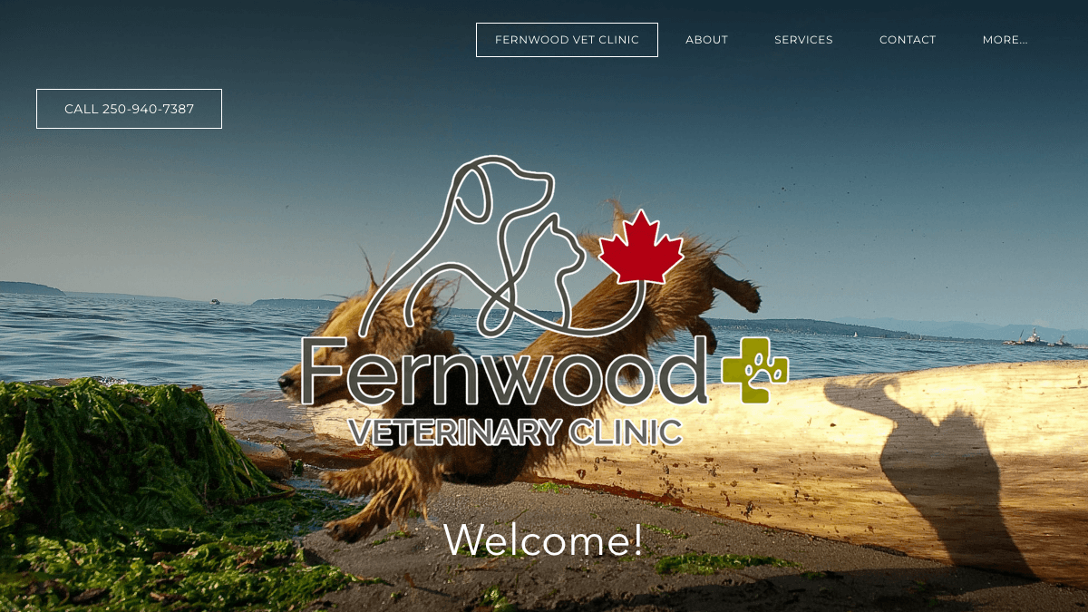 Fernwood Veterinary Clinic — current website (fernwoodvetclinic.ca)