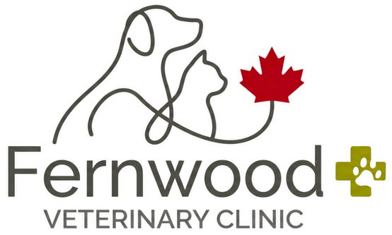 Fernwood Veterinary Clinic